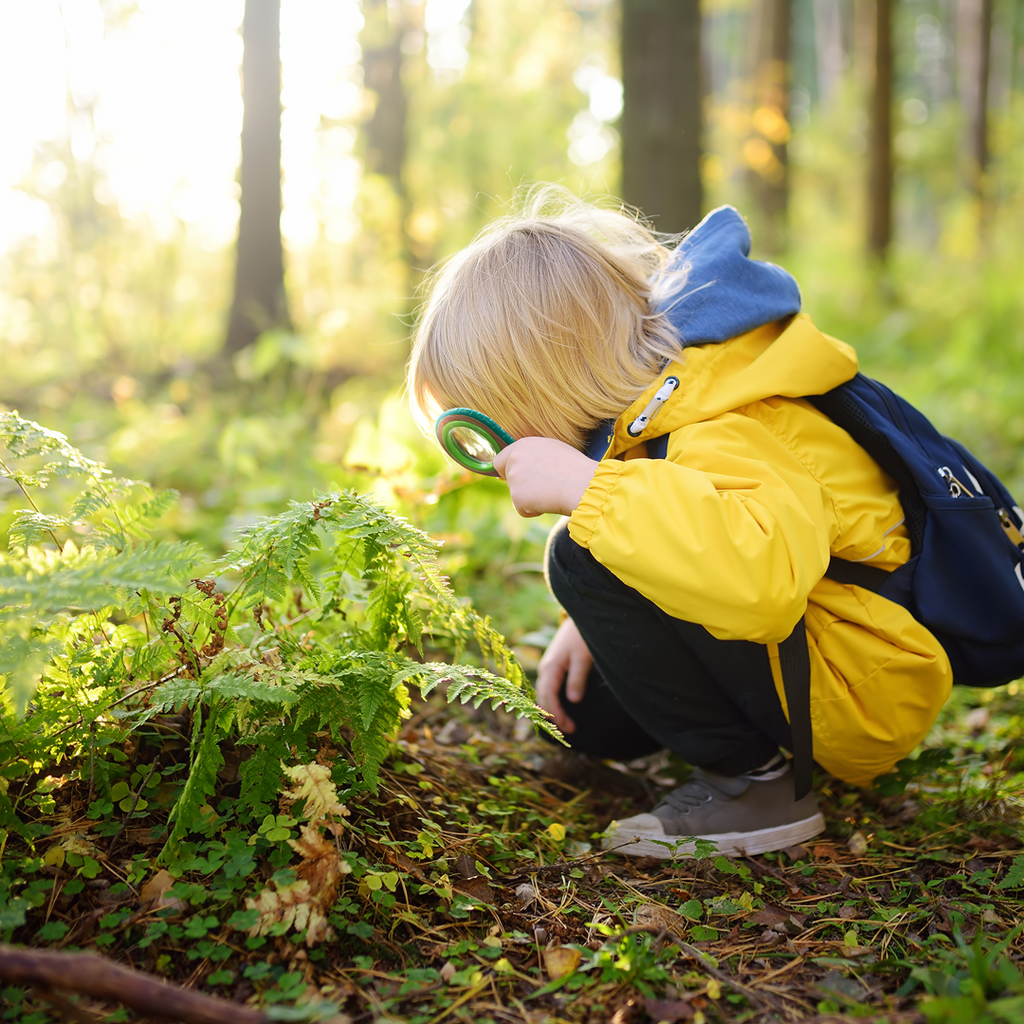 Набір натураліста Hape Nature Fun Лупа і свисток (E5570 - фото 7