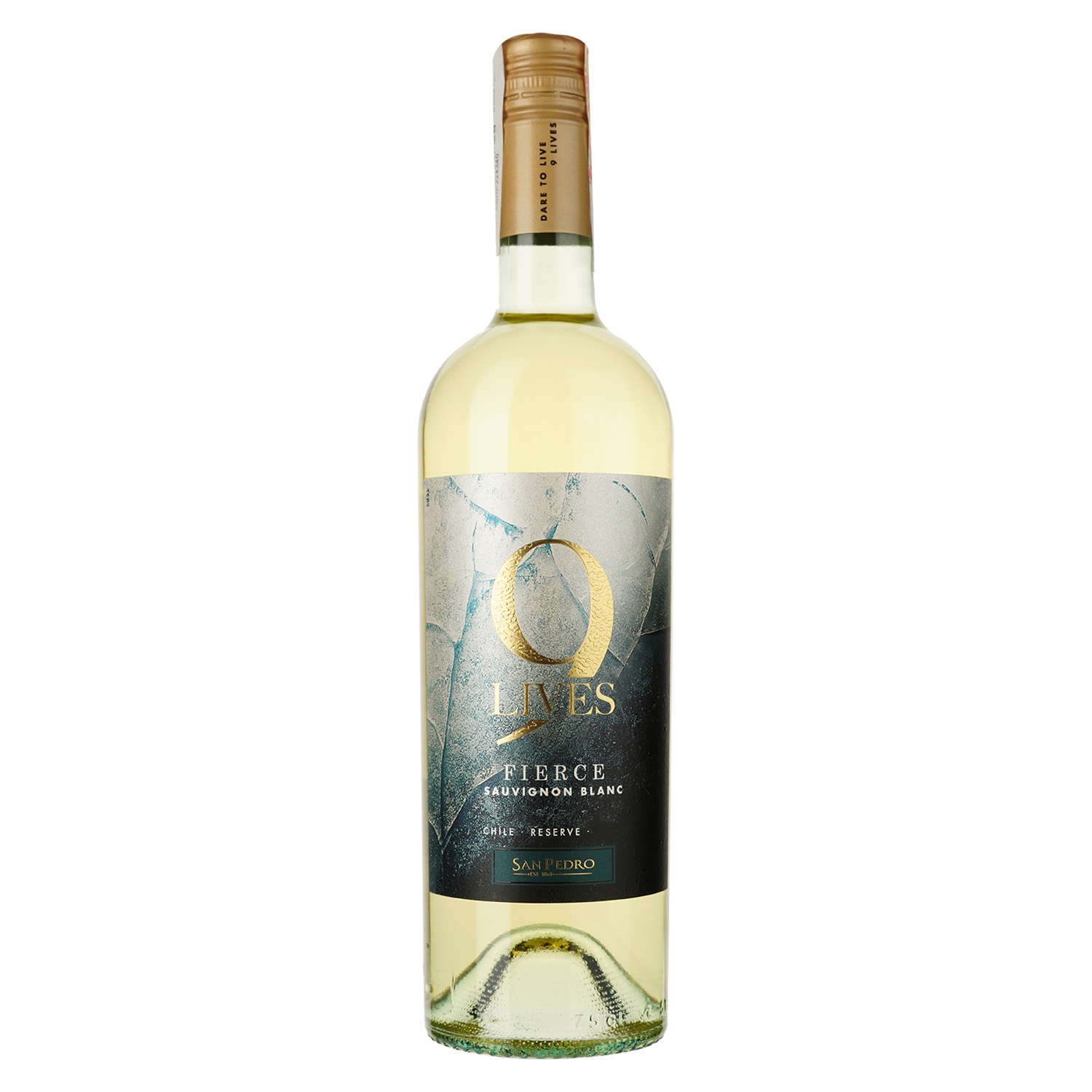 Вино Gato Negro Sauvignon Blanc Reserve 9 жизней, белое, сухое, 12.4%, 0,75 л - фото 1