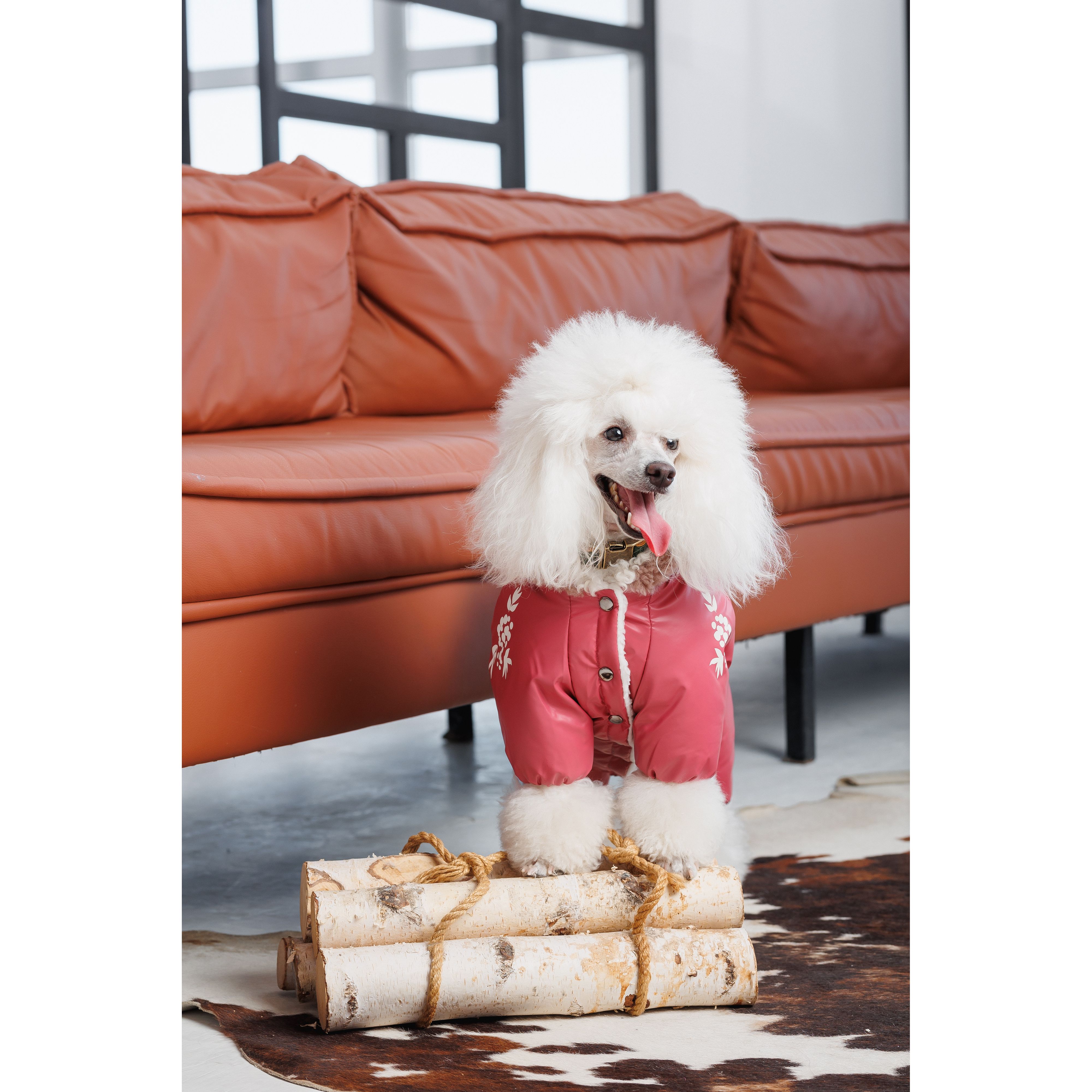 Комбинезон для собак Pet Fashion Cherry S2 бордовый - фото 4