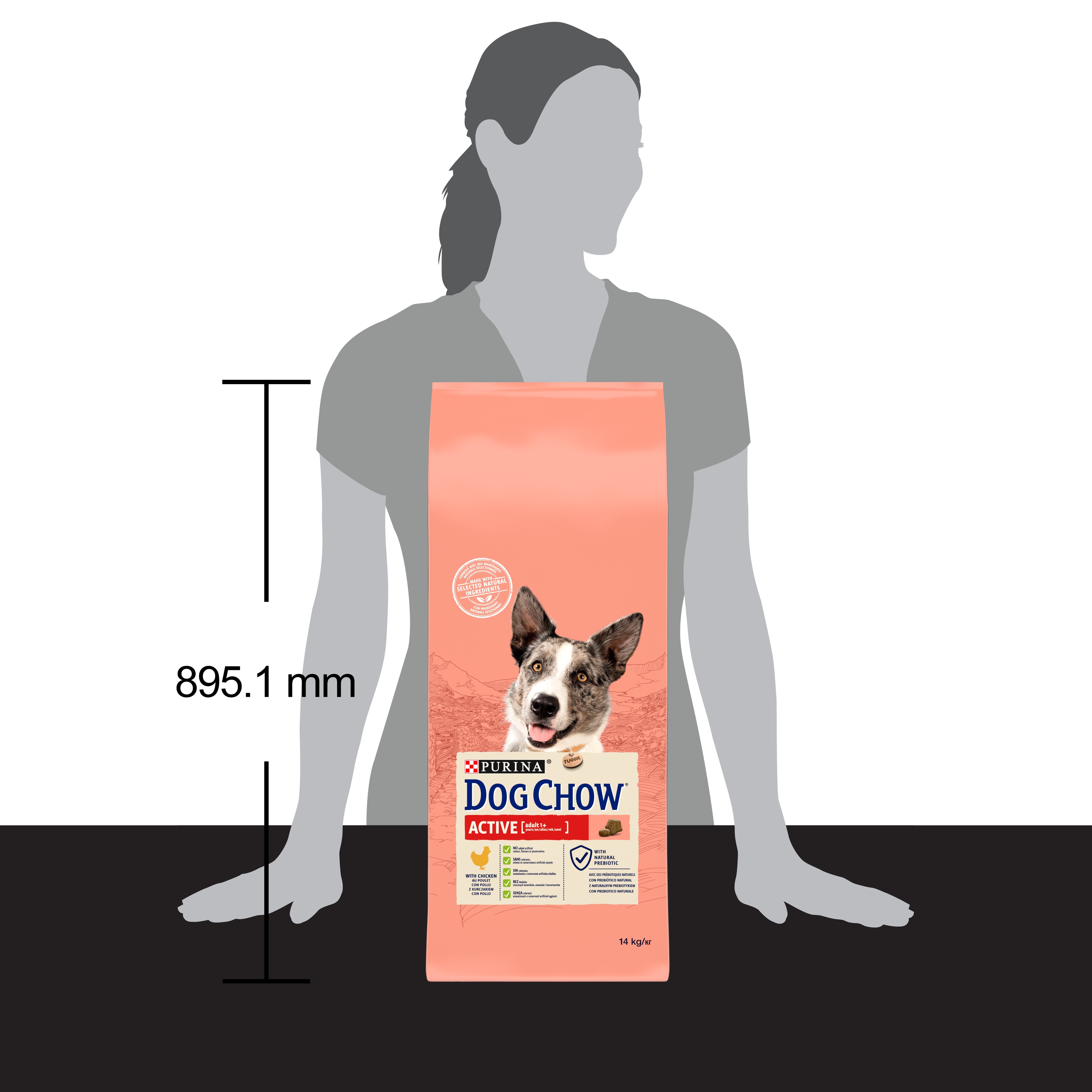 Сухий корм для собак з підвищеною активністю Dog Chow Active Adult 1+, з куркою, 14 кг - фото 4