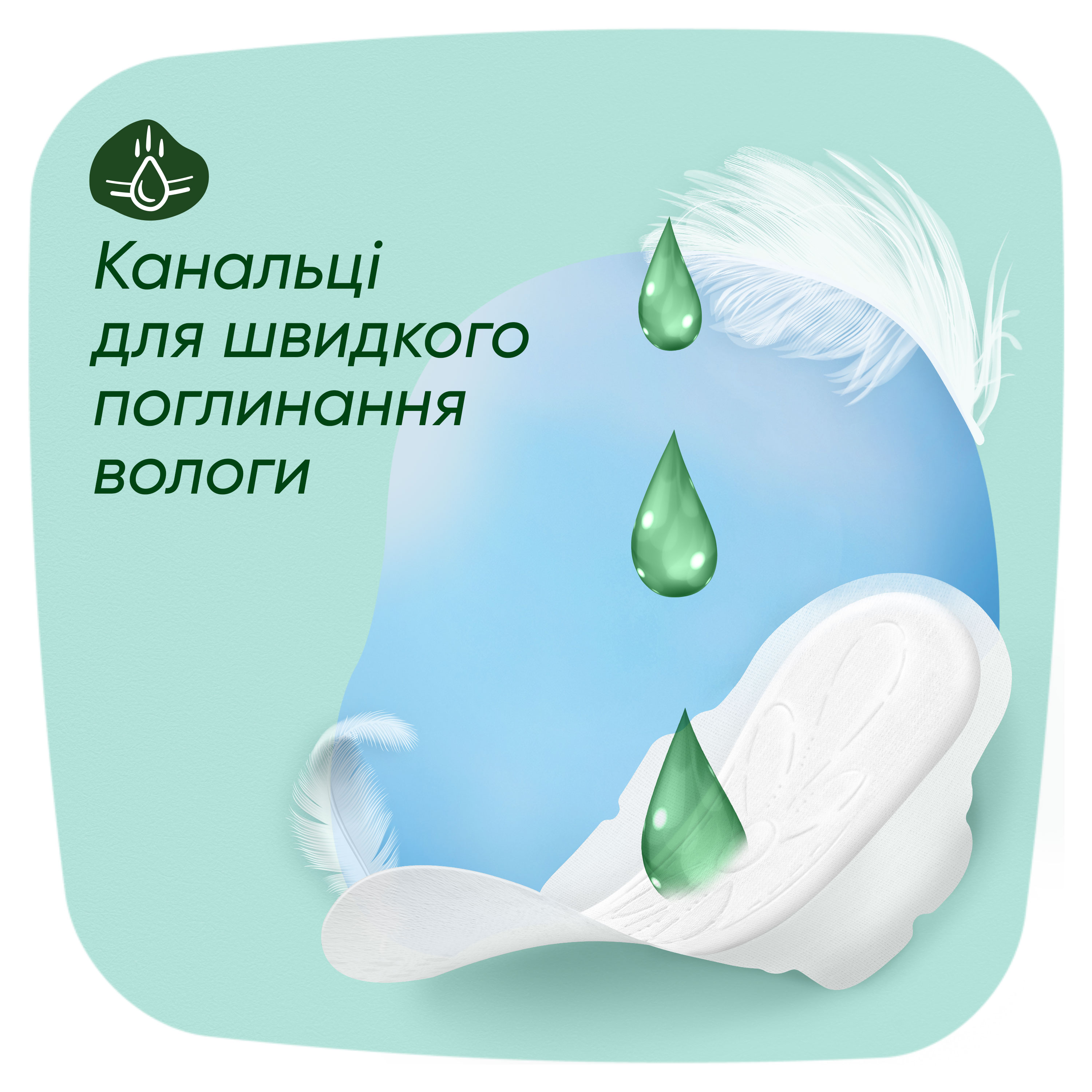 Гигиенические прокладки Naturella Нежная защита Maxi 7 шт. - фото 4