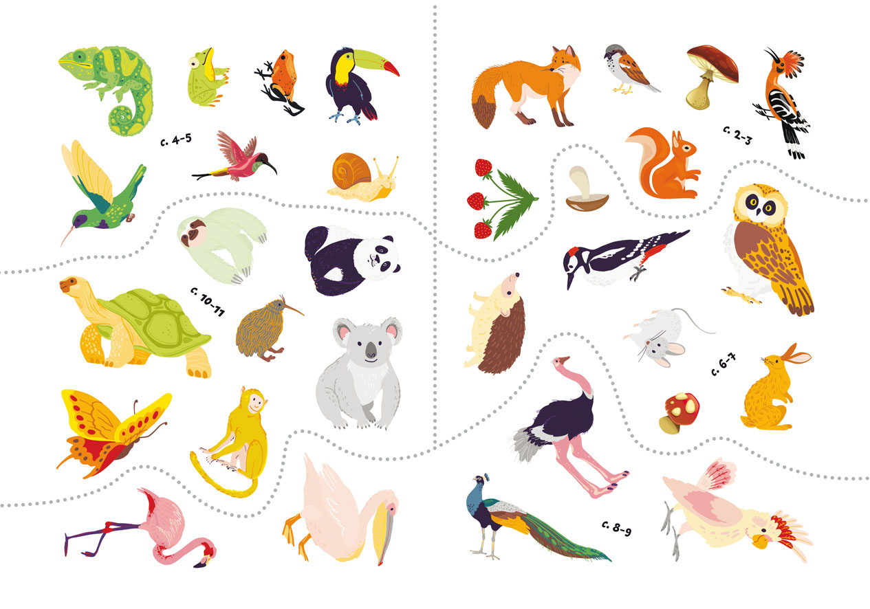 Первая раскраска Кристал Бук Птицы, с цветным контуром, с наклейками, 8 страниц (F00023851) - фото 4
