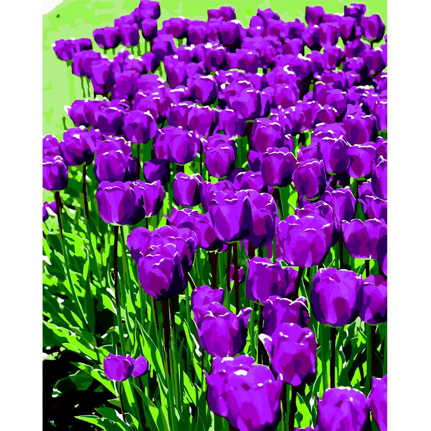 Картина за номерами ZiBi Art Line Бузкові тюльпани 40х50 см (ZB.64154) - фото 1