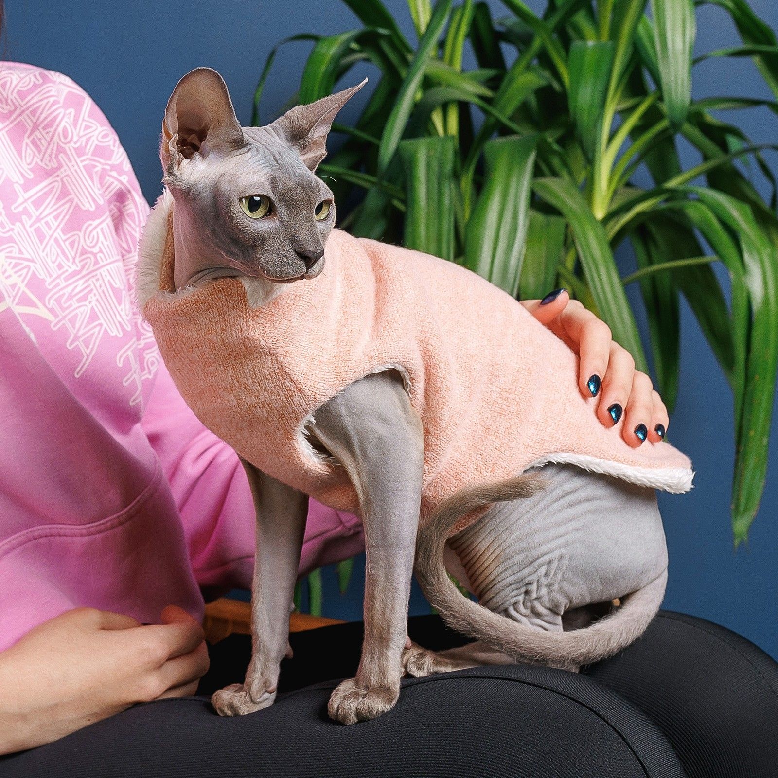 Свитер Pet Fashion Cat XS персиковый - фото 3