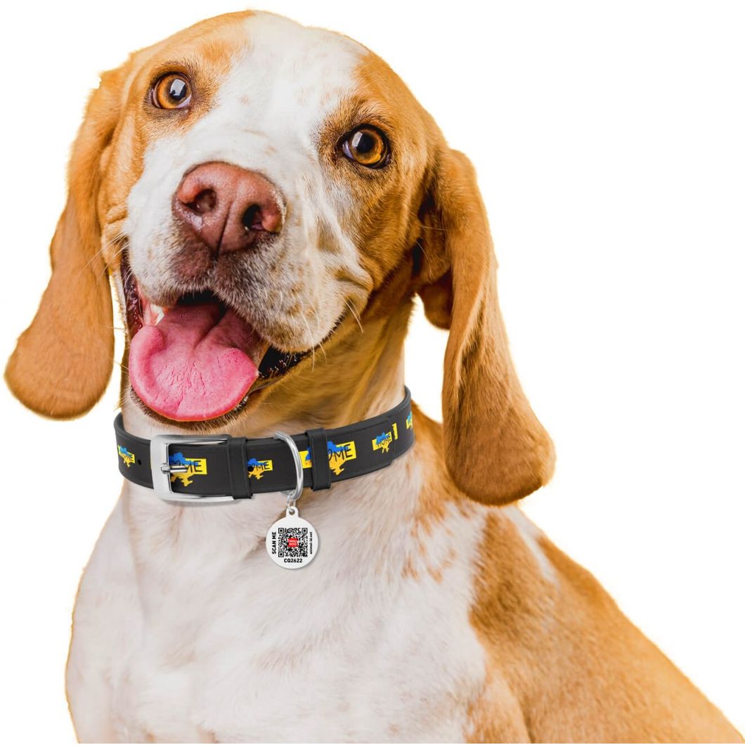 Нашийник для собак Waudog Design Дім, шкіряний, з QR паспортом, XXS, 19-25х1, 2 см, чорний - фото 4