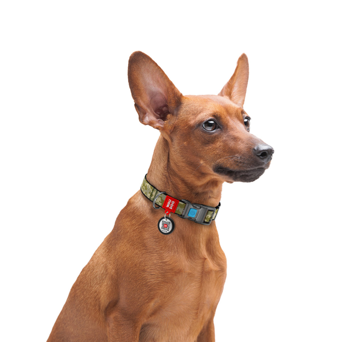 Ошейник для собак Waudog Nylon с QR-паспортом, Милитари, пластиковый фастекс, XL, 37-58х2,5 см - фото 3