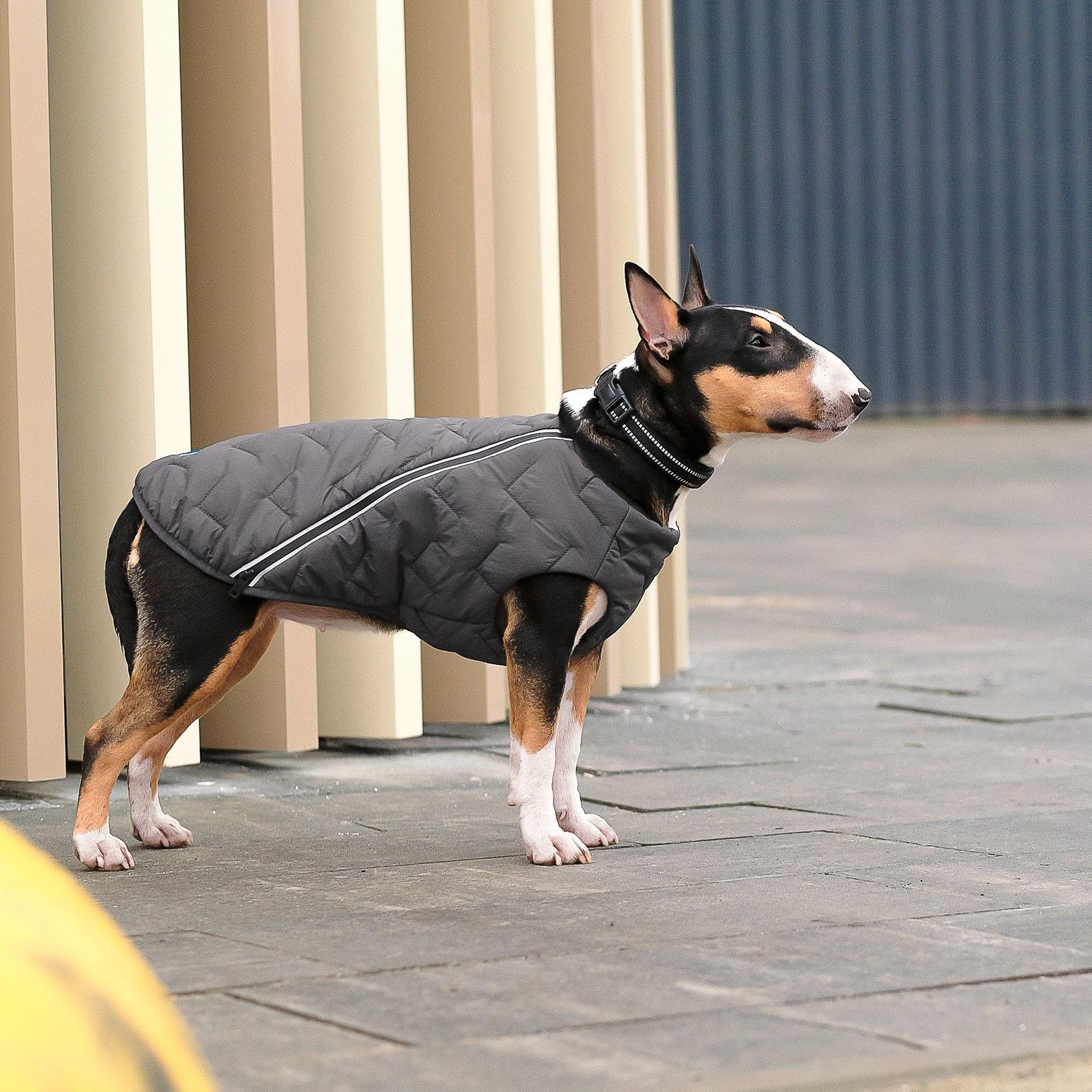 Жилет для собак Pet Fashion E.Vest M сірий - фото 5