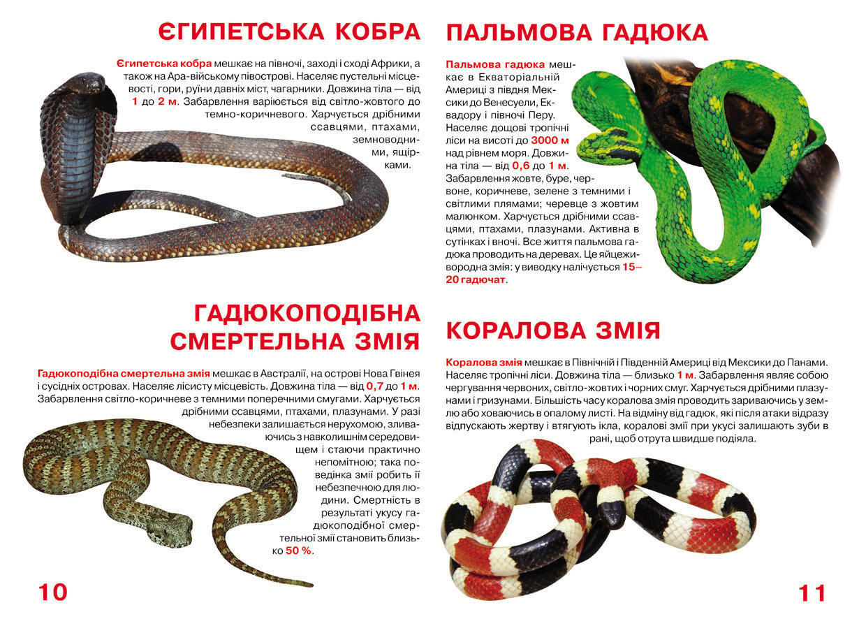 Большая книга Кристал Бук Ядовитые змеи (F00021418) - фото 3