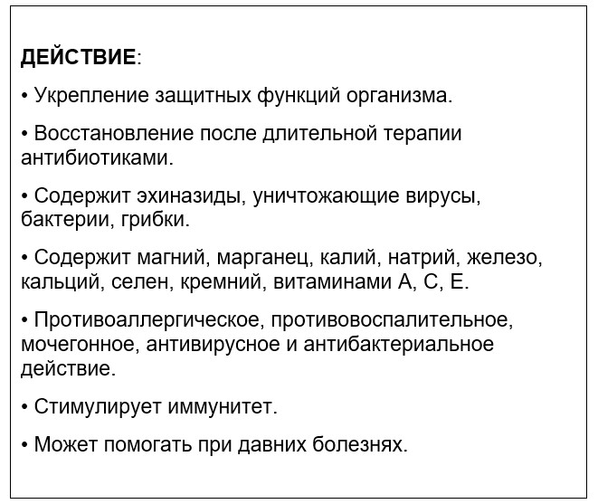 Натуральная добавка для собак Home Food, Эхинацея, 500 мл - фото 4