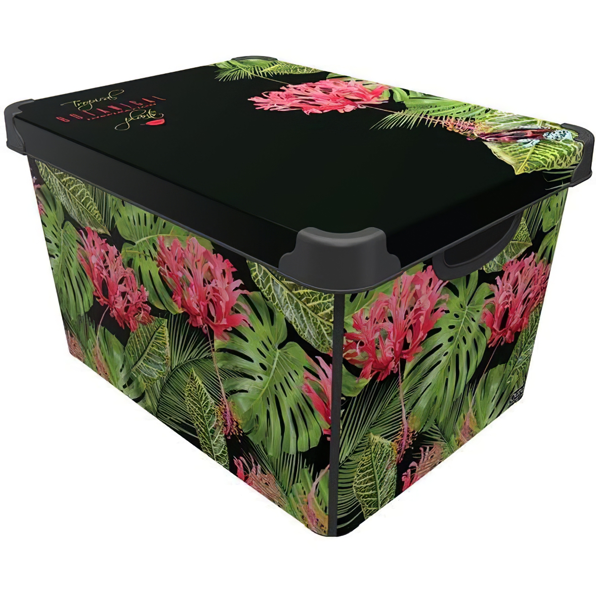 Коробка Qutu Style Box Botanic 20 л (STYLE BOX з/кр BOTANIC 20л.) - фото 1