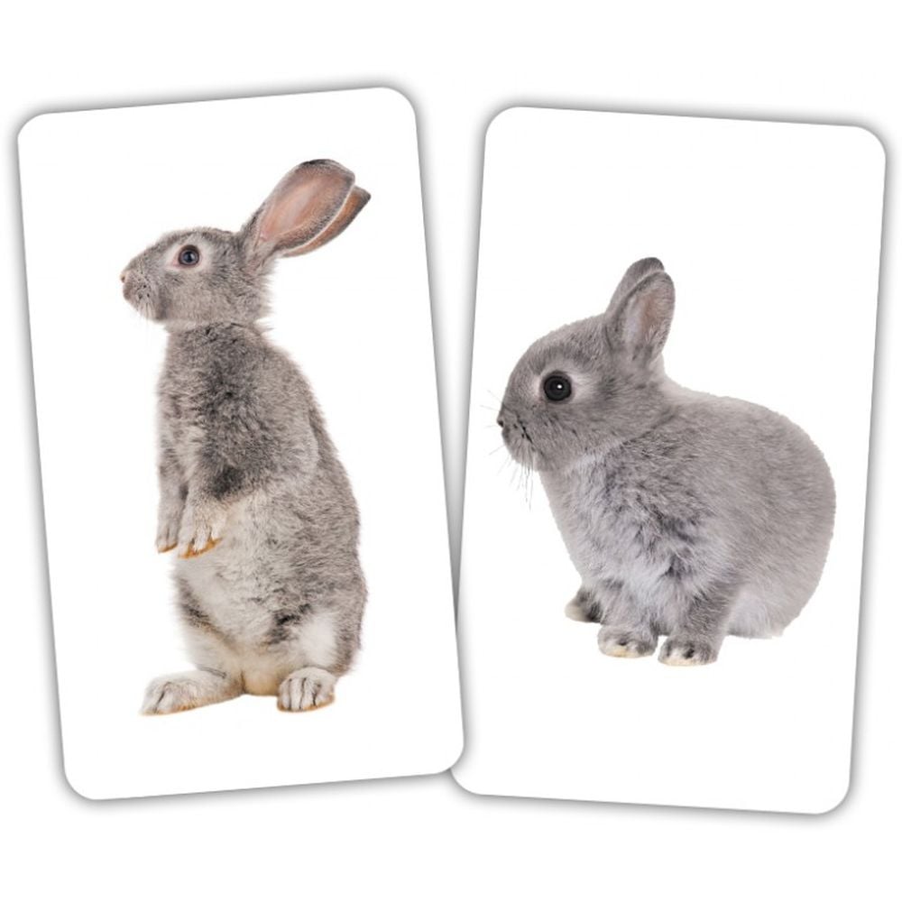 Набор Вундеркинд с пеленок Животные и детеныши, 15 пар карточек - фото 3
