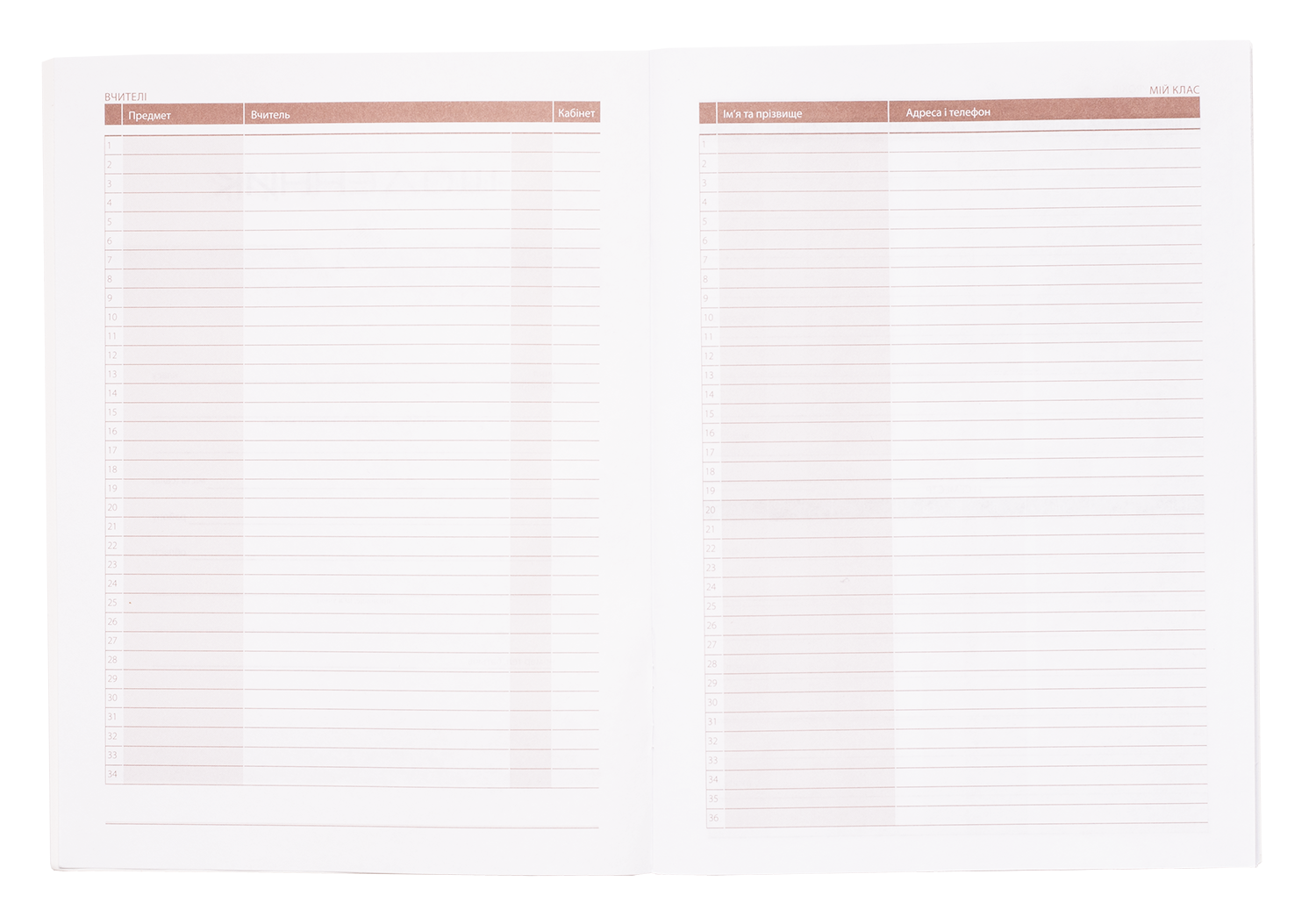 Дневник школьный ZiBi FASHION SMART Line, 40 листов (ZB.13122) - фото 4