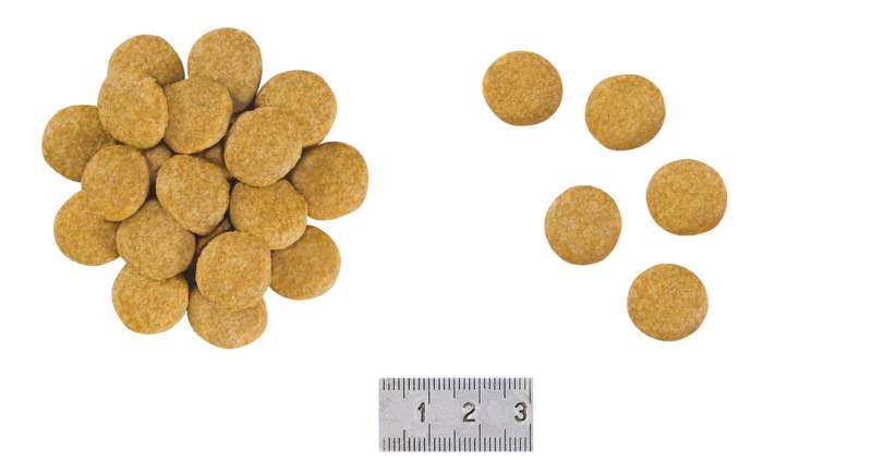 Сухой диетический корм для собак Royal Canin Skin Care Adult Dog при дерматозах и выпадении шерсти, 11 кг (4013110) - фото 4