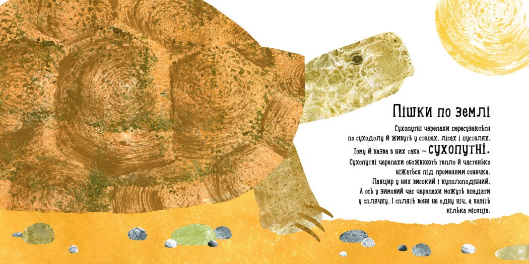 Книга Ранок Куди поділася черепаха? - Наталія Чуб (S914004У) - фото 3