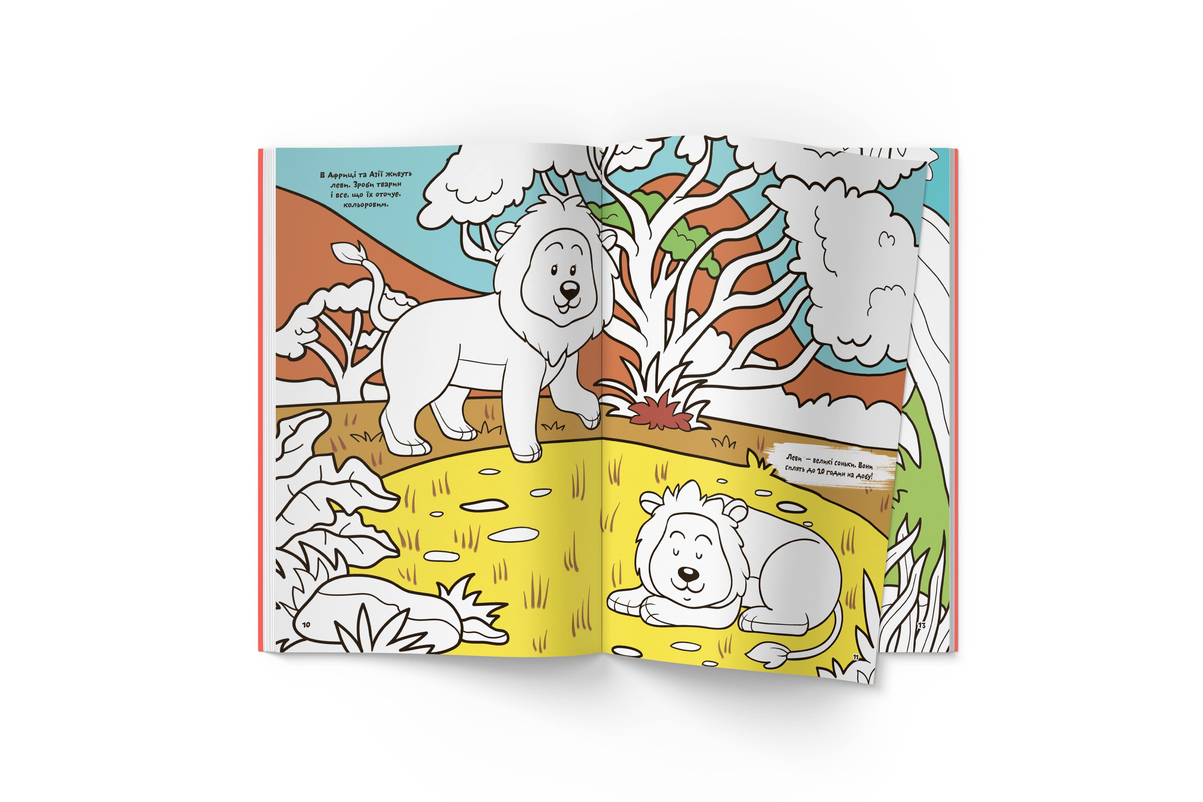 Первая цветная раскраска Кристал Бук Рисуем животных, с развивающими задачами, 16 страниц (F00026727) - фото 4