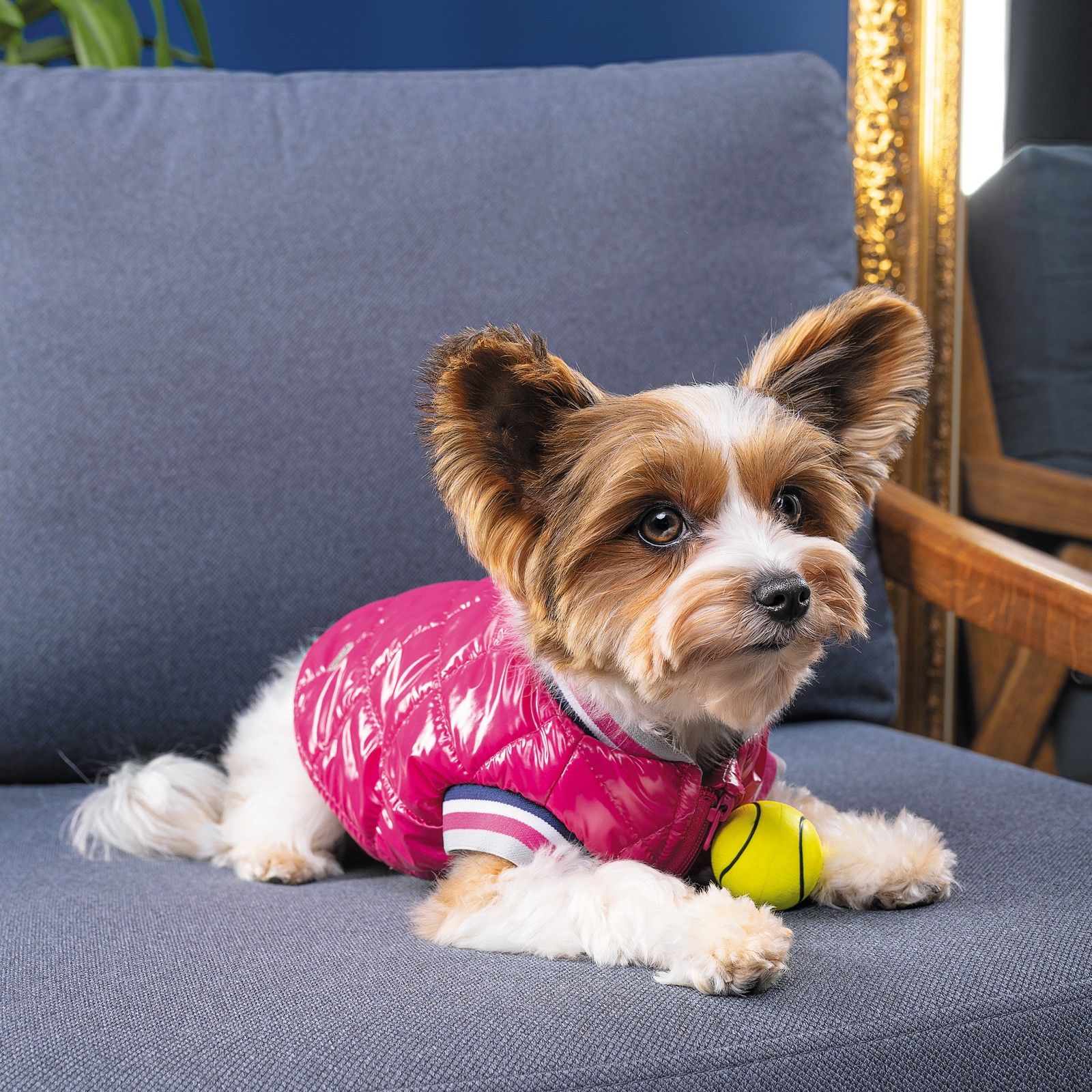 Бомбер Pet Fashion Grace S розовый - фото 4