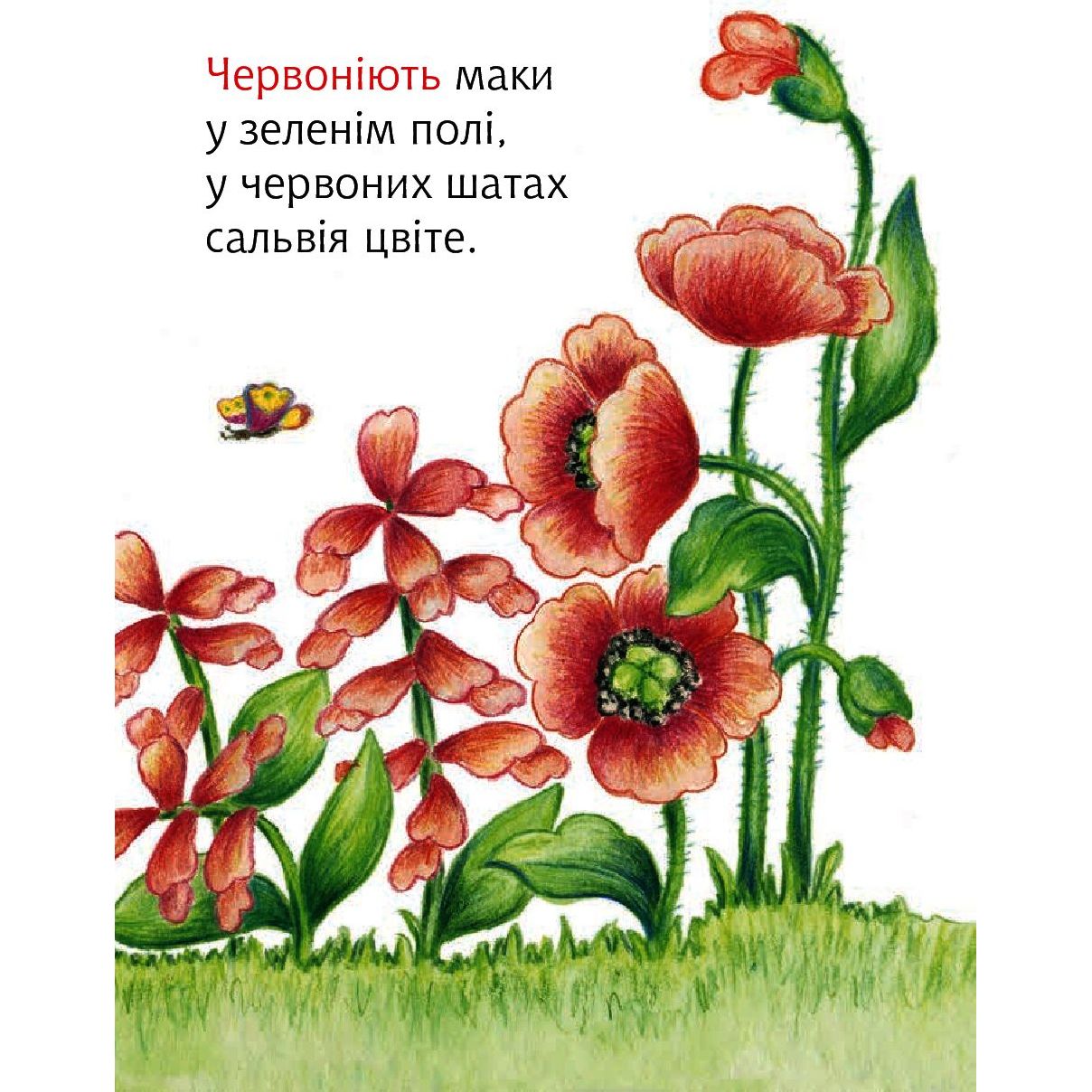 Книжка крихітка Богдан Вірші Барвистий світ - Гуменюк Марія Володимирівна (966-408-091-8) - фото 4