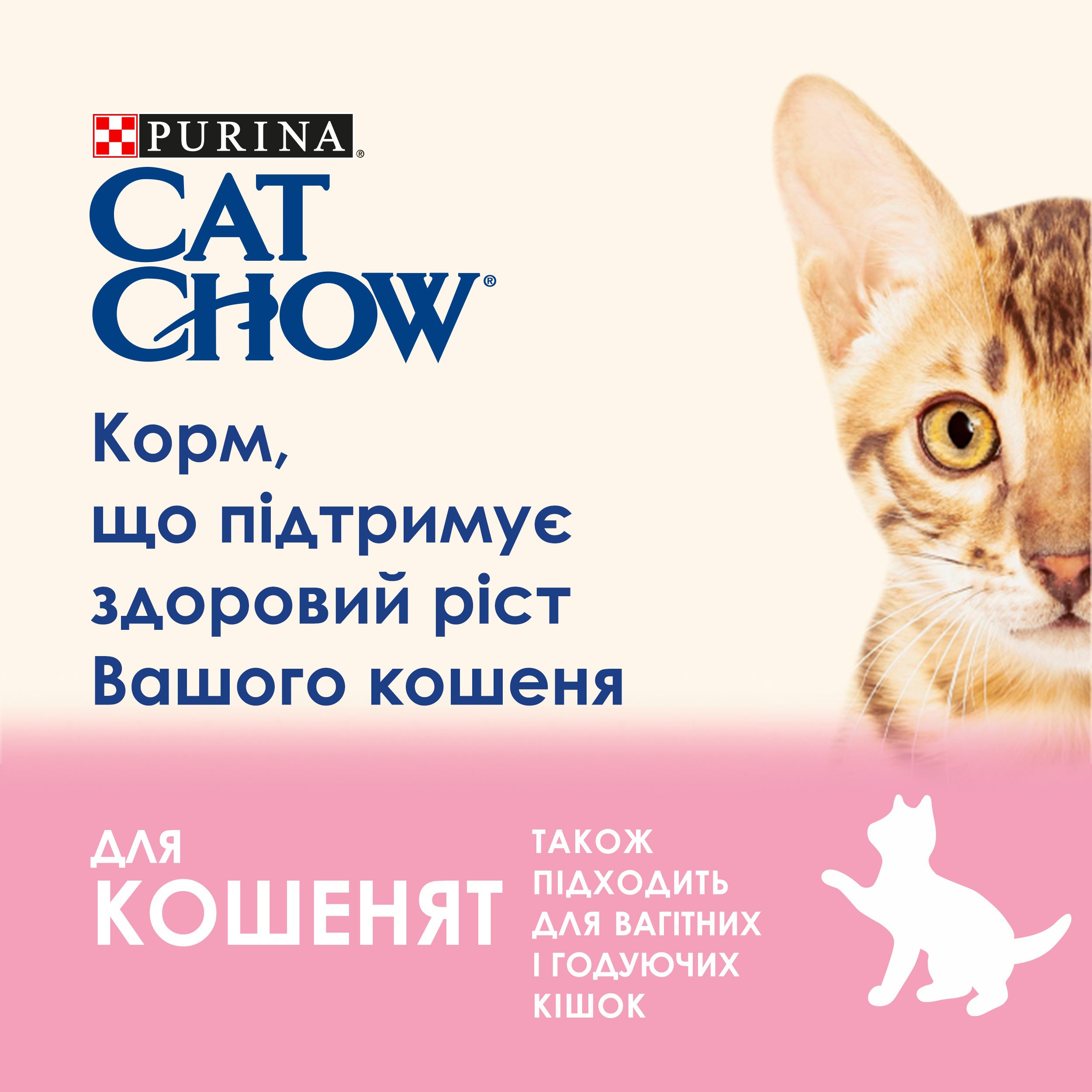 Вологий корм для кошенят Cat Chow Kitten, ніжні шматочки в желе, з індичкою та цукіні, 85 г - фото 4