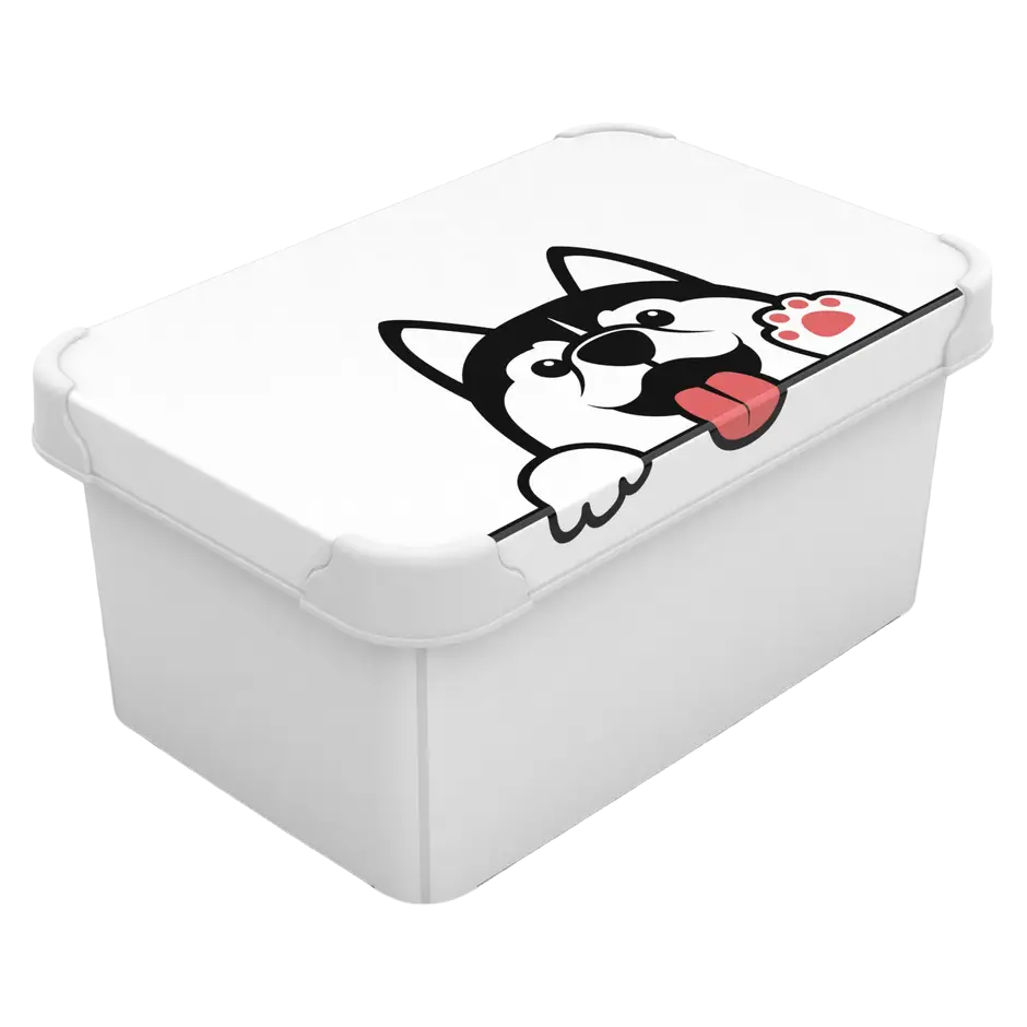 Коробка Qutu Style Box Pet, 5 л, 28,5х19х13,5 см, білий (STYLE BOX с/к PET 5л.) - фото 1