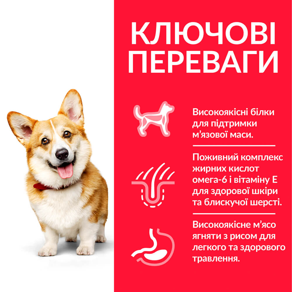 Сухий корм для дорослих собак малих і мініатюрних порід Hill’s Science Plan Adult Small&Mini, з ягням та рисом, 6 кг (604319) - фото 4