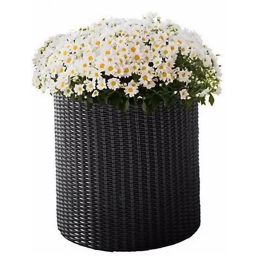 Цветочный горшок Keter S Cylinder Planter серый 7 л (17197934902_S) - фото 1