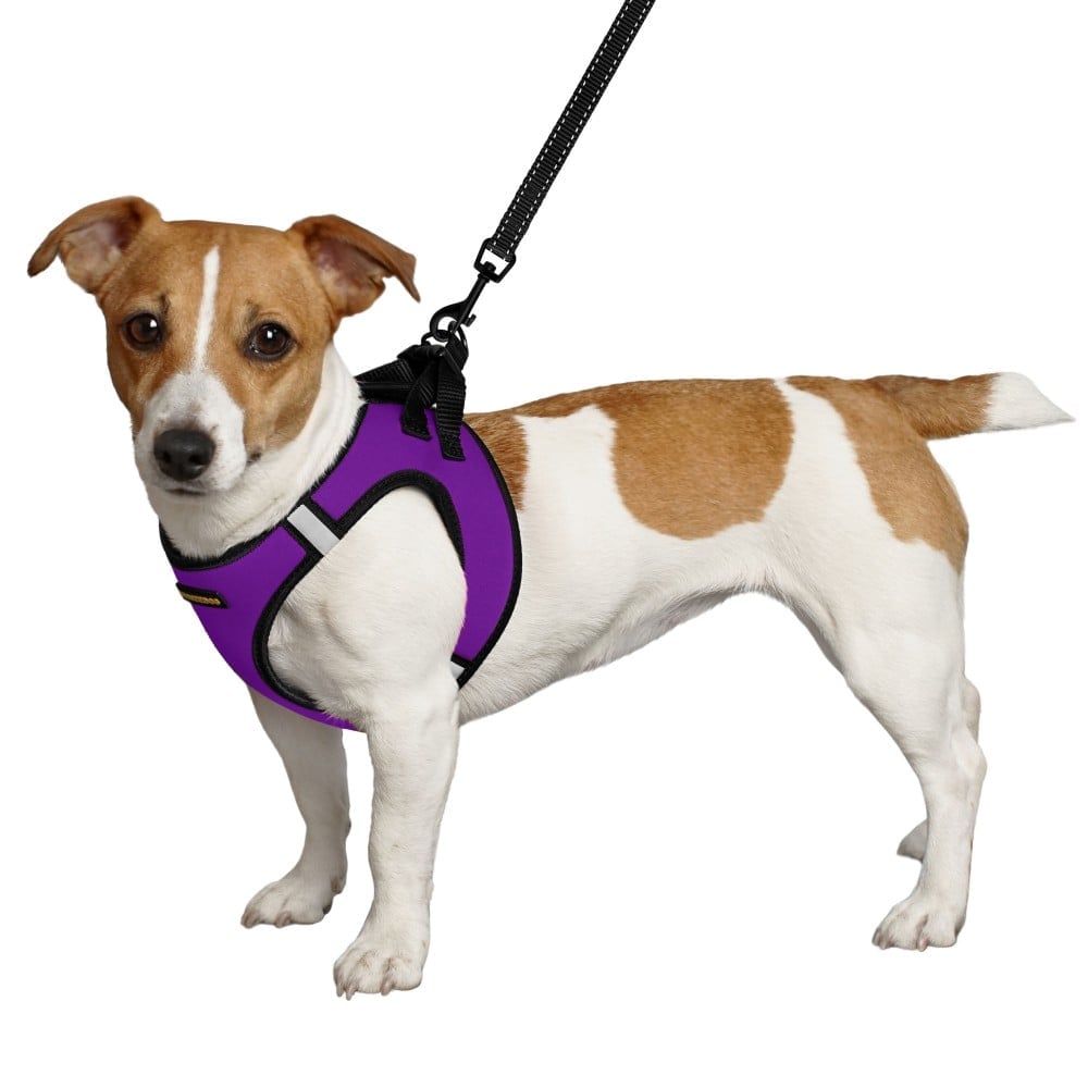 Шлея для собак Bronzedog Sport Vest S 20х16х3 см фиолетовая - фото 2