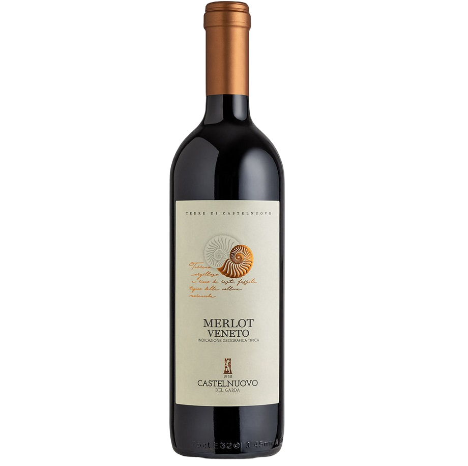 Вино Cantina Castelnuovo del Garda Merlot, червоне, сухе, 12%, 0,75 л (8000009446416) - фото 1