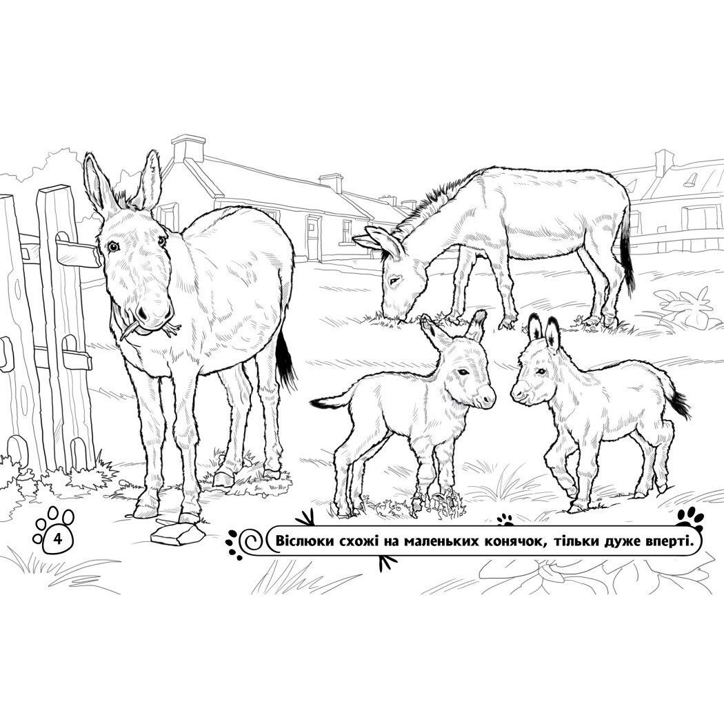 Розмальовка Видавництво Ранок Тварини на фермі (А583011У) - фото 4