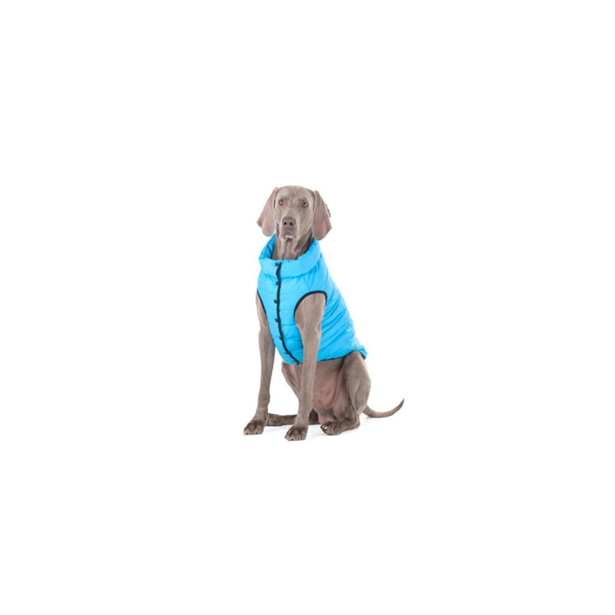 Курточка для собак AiryVest ONE, L65, блакитний - фото 3