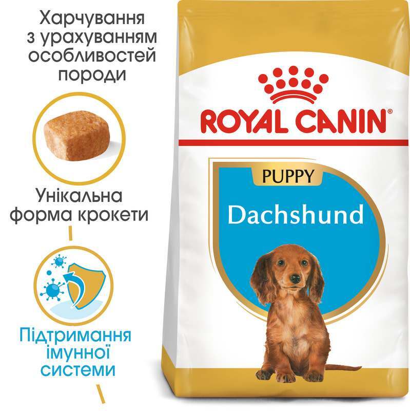 Сухой корм для щенков породы Такса Royal Canin Dachshund Puppy, 1,5 кг (24370151) - фото 4
