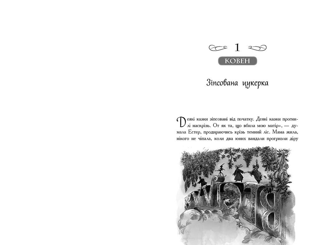 Школа Добра і Зла. Єдиний Істинний король. Книга 6 - Зоман Чейнані (Ч681006У) - фото 4