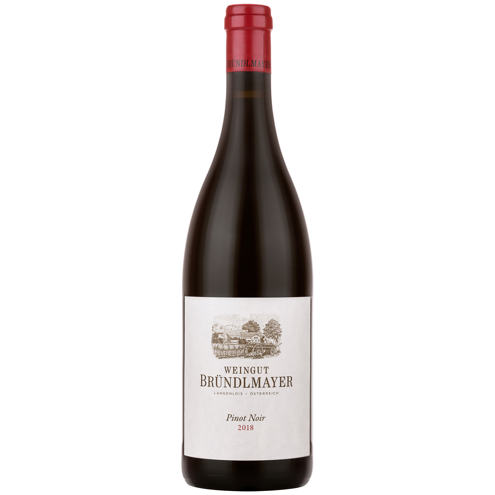 Вино Brundlmayer Pinot Noir Blauburgunder 2018, красное, сухое, 0,75 л - фото 1