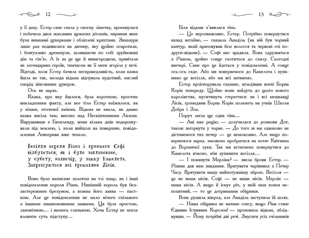 Школа Добра і Зла. Єдиний Істинний король. Книга 6 - Зоман Чейнані (Ч681006У) - фото 5