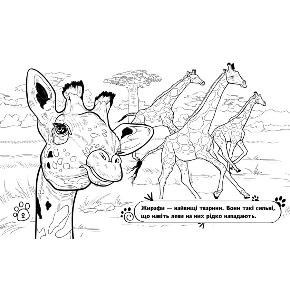 Розмальовка дитяча Видавництво Ранок Тварини у далеких краях 16 сторінок (583009) - фото 4