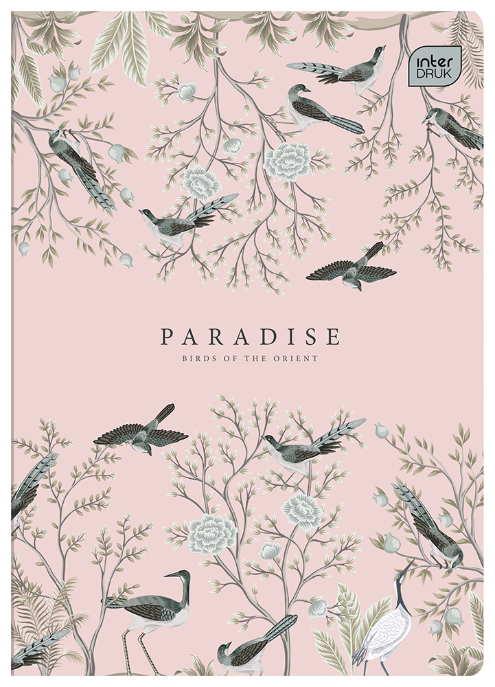 Тетрадь Interdruk Paradise, линия, A5, 60 листов, 4 шт. (298959-4) - фото 5