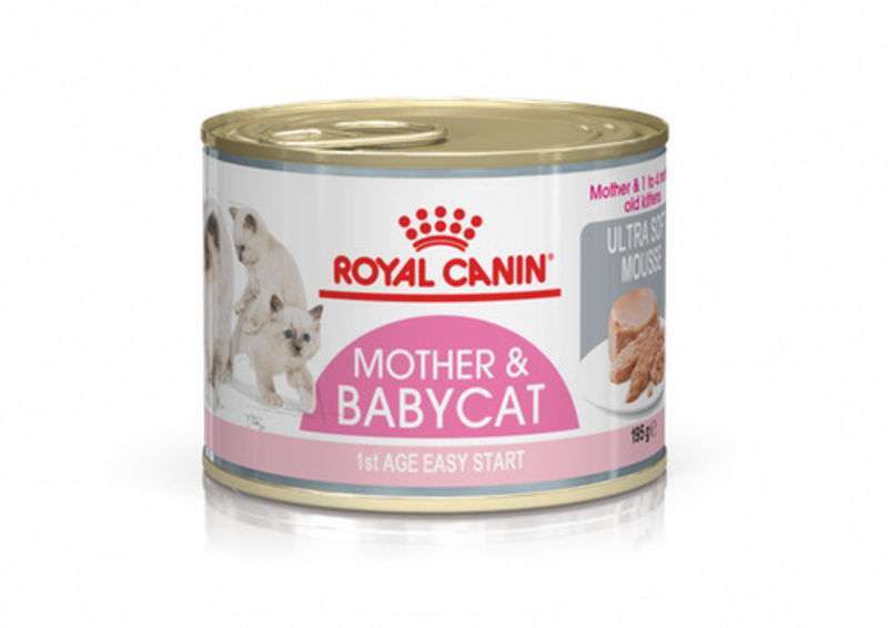 Вологий корм для кошенят до 4 місяців Royal Canin Babycat Instinctive, 195 г - фото 1