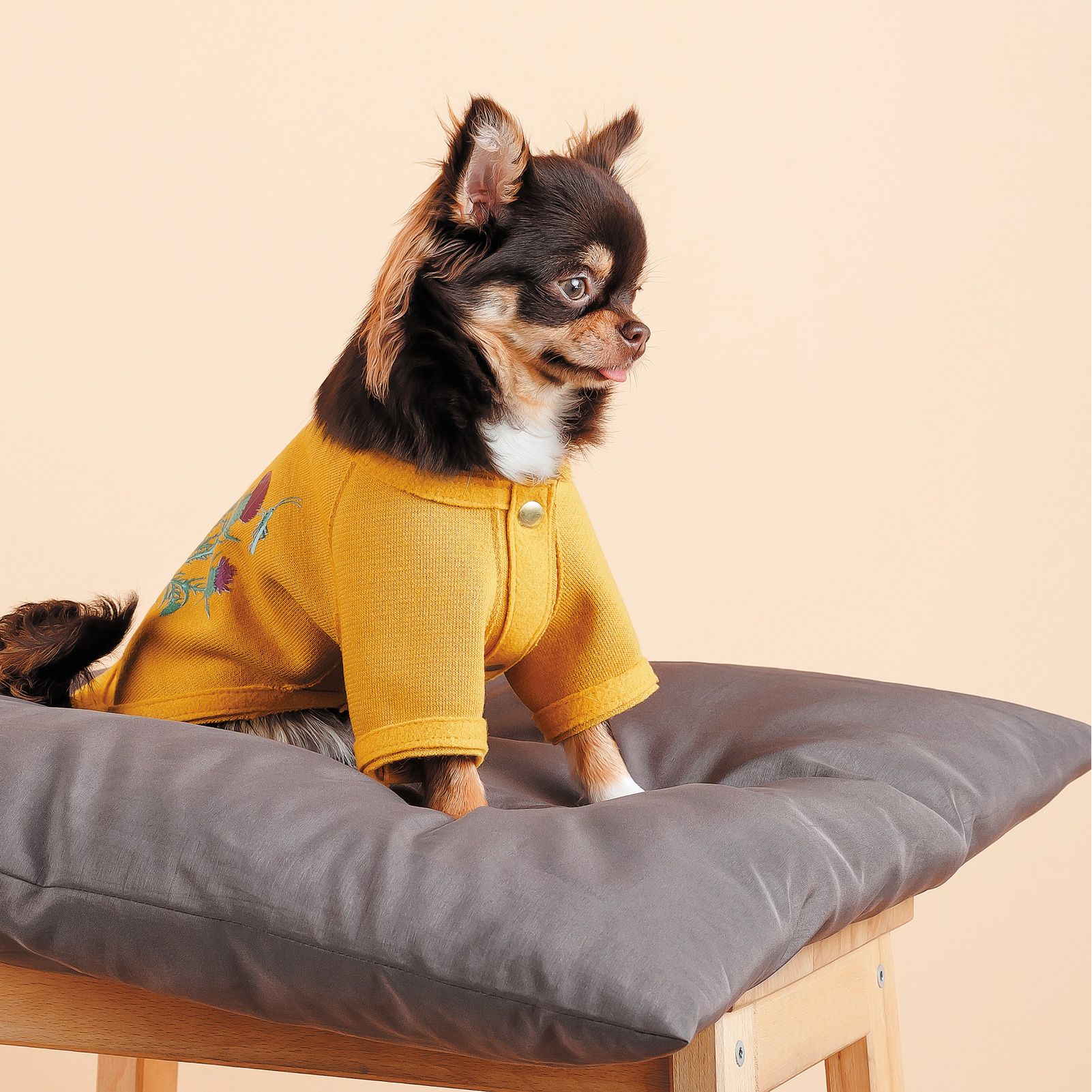 Кардиган для собак Pet Fashion Denis S желтый - фото 3