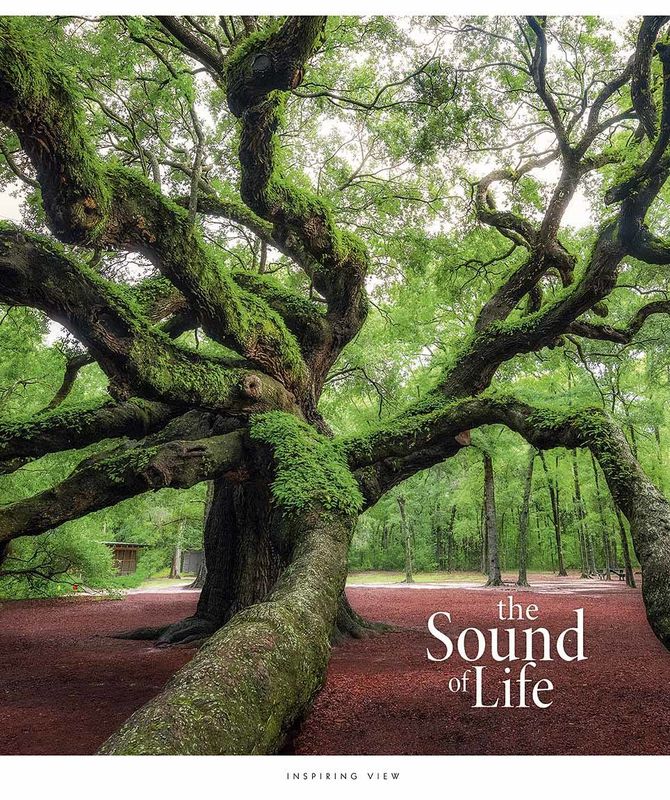 Зошит загальний Школярик Star The Sound of life у лінію 96 аркушів 5 шт. (096-3347L) - фото 3