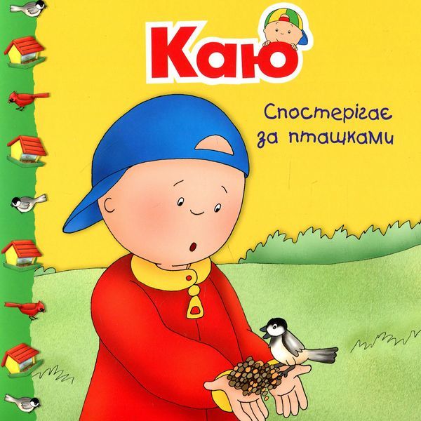 Книги про Каю Богдан Мої історії Каю спостерігає за пташками - Франсін Аллен (978-966-10-5342-6) - фото 1