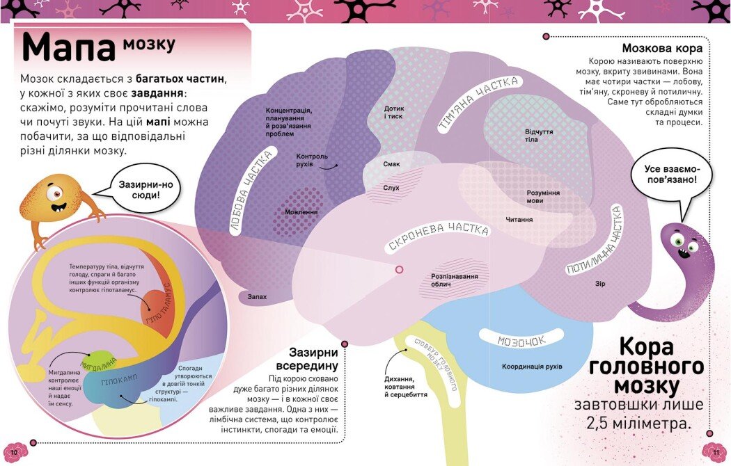 Книга Ранок Карколомний мозок. Імпульсивні нейрони, мінливі синапси, хвостаті аксони - Ліам Дрю (НЕ1434023У) - фото 6