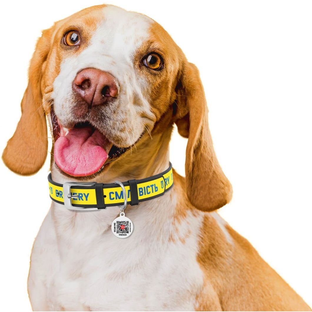 Ошейник для собак Waudog Design Смелость, кожаный, с QR паспортом, XS, 21-29х1,2 см, черный - фото 4