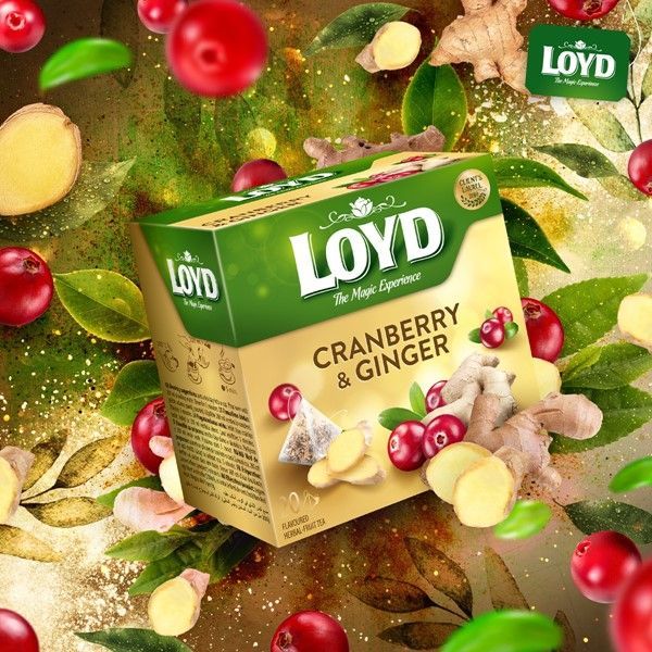 Чай фруктовий Loyd Oyd Cranberry&Ginger, журавлина імбир, в пірамідках, 40 г, 3103566 - фото 3