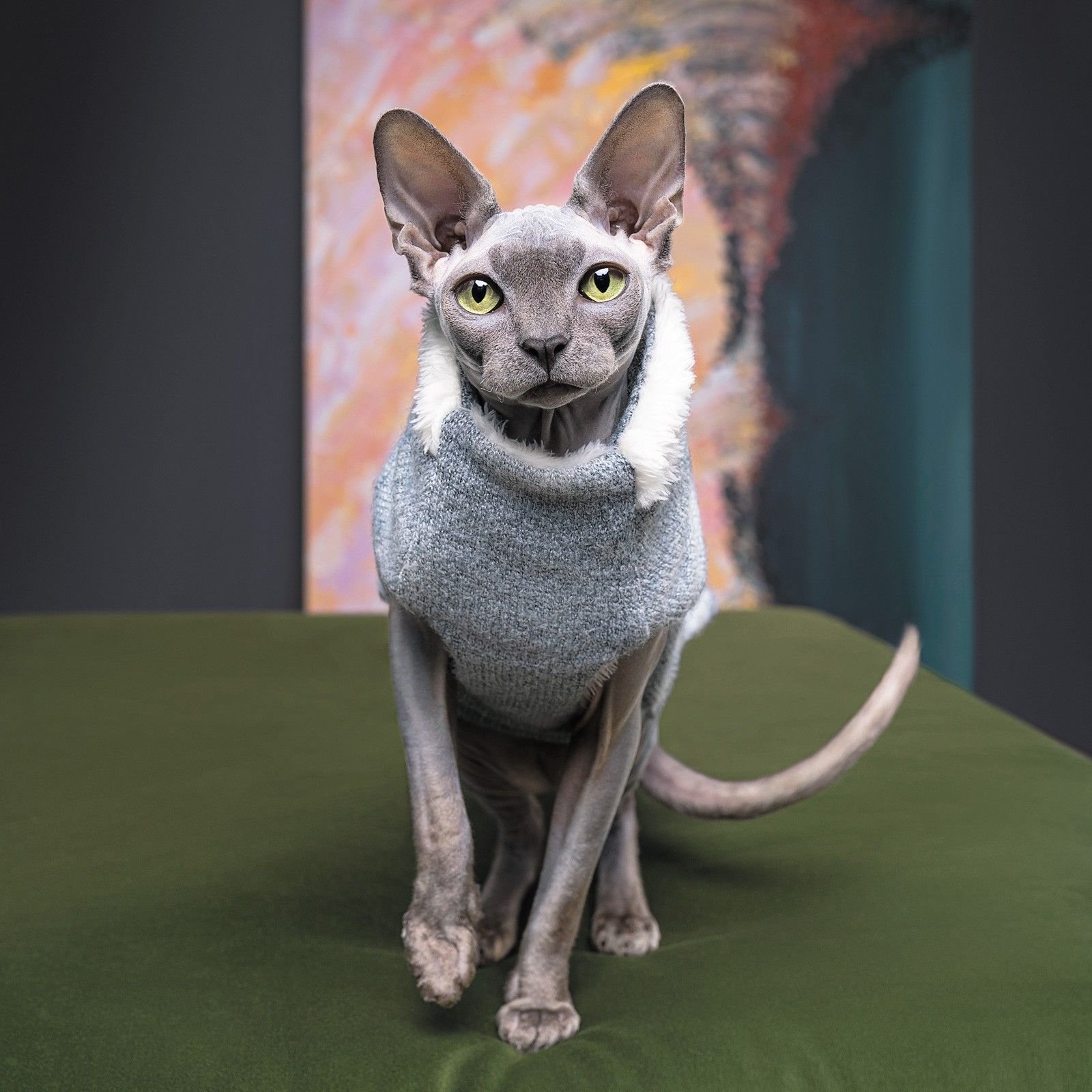 Свитер Pet Fashion Cat S меланж - фото 3