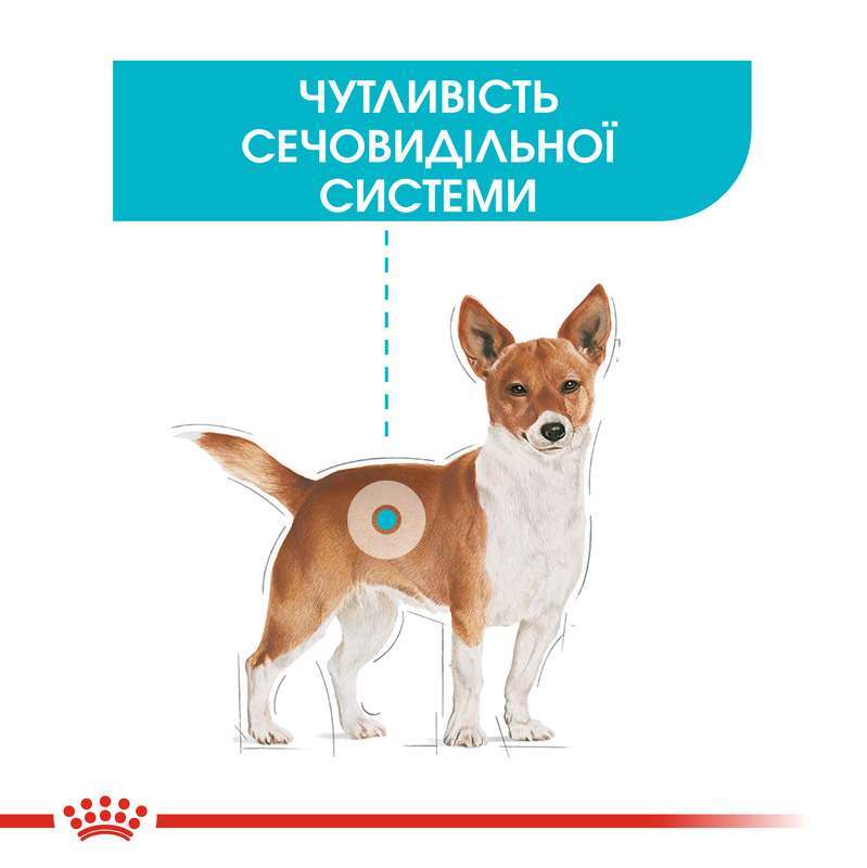 Сухой корм для собак малых пород с чувствительной мочевыделительной системой Royal Canin Mini Urinary Care, 3 кг (1261030) - фото 3