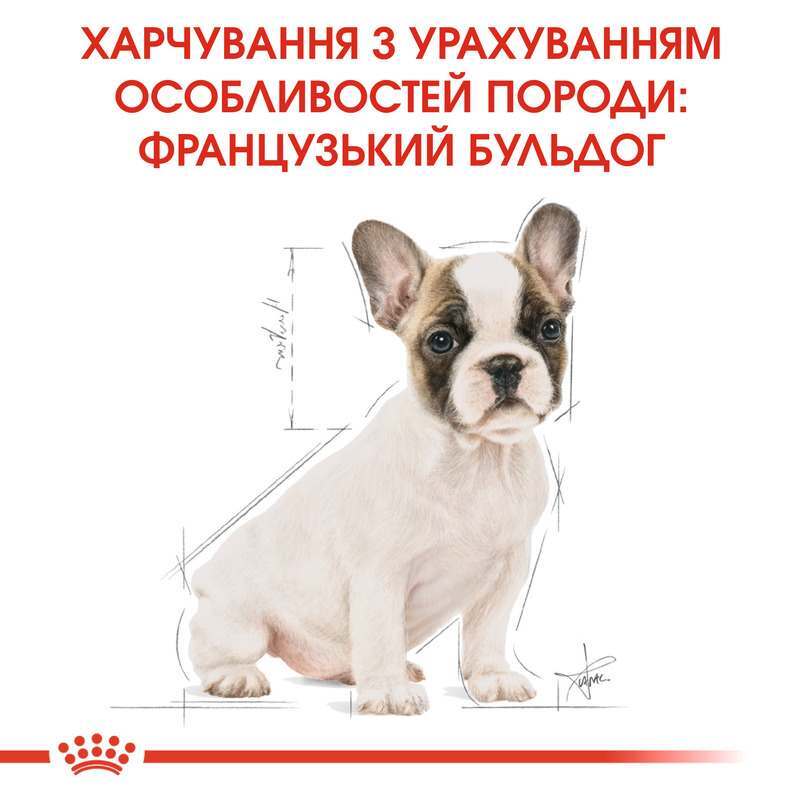 Сухий корм для цуценят породи Французький Бульдог Royal Canin French Bulldog Puppy, 3 кг (3990030) - фото 2