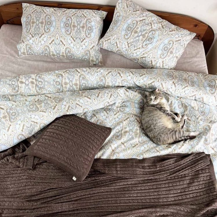 Комплект постельного белья Прованс Небо, поплин, полуторный, голубой с коричневым (29480) - фото 2