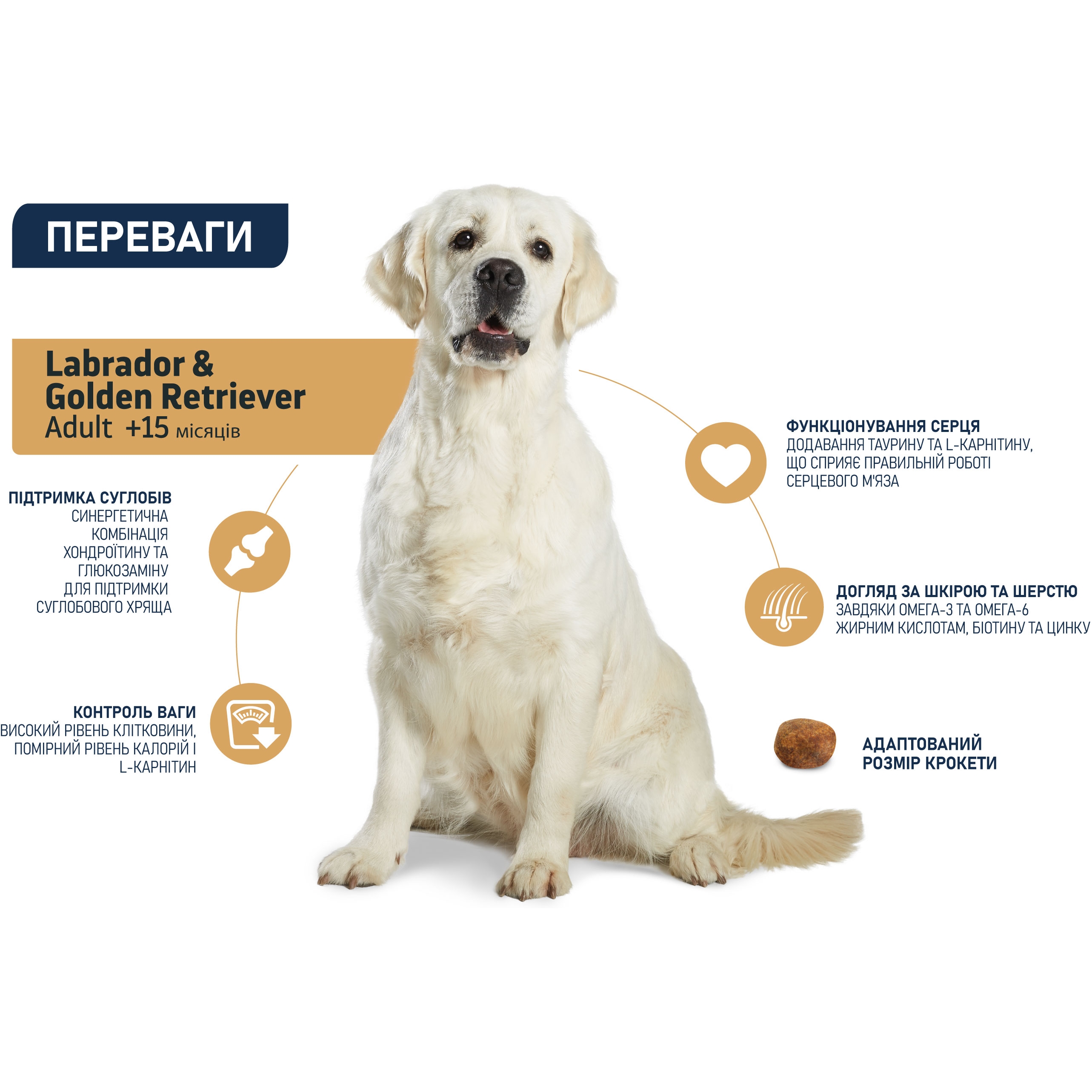 Сухий корм для собак Advance Dog Labrador & Golden Retriever з куркою 11.5 кг - фото 3