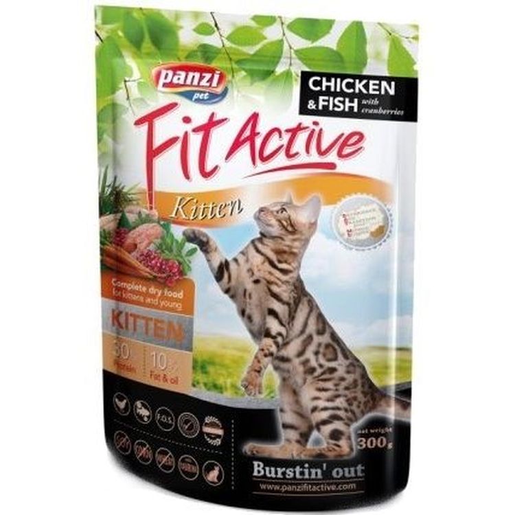 Сухой корм для котят FitActive Cat Кitten, 300 г - фото 1
