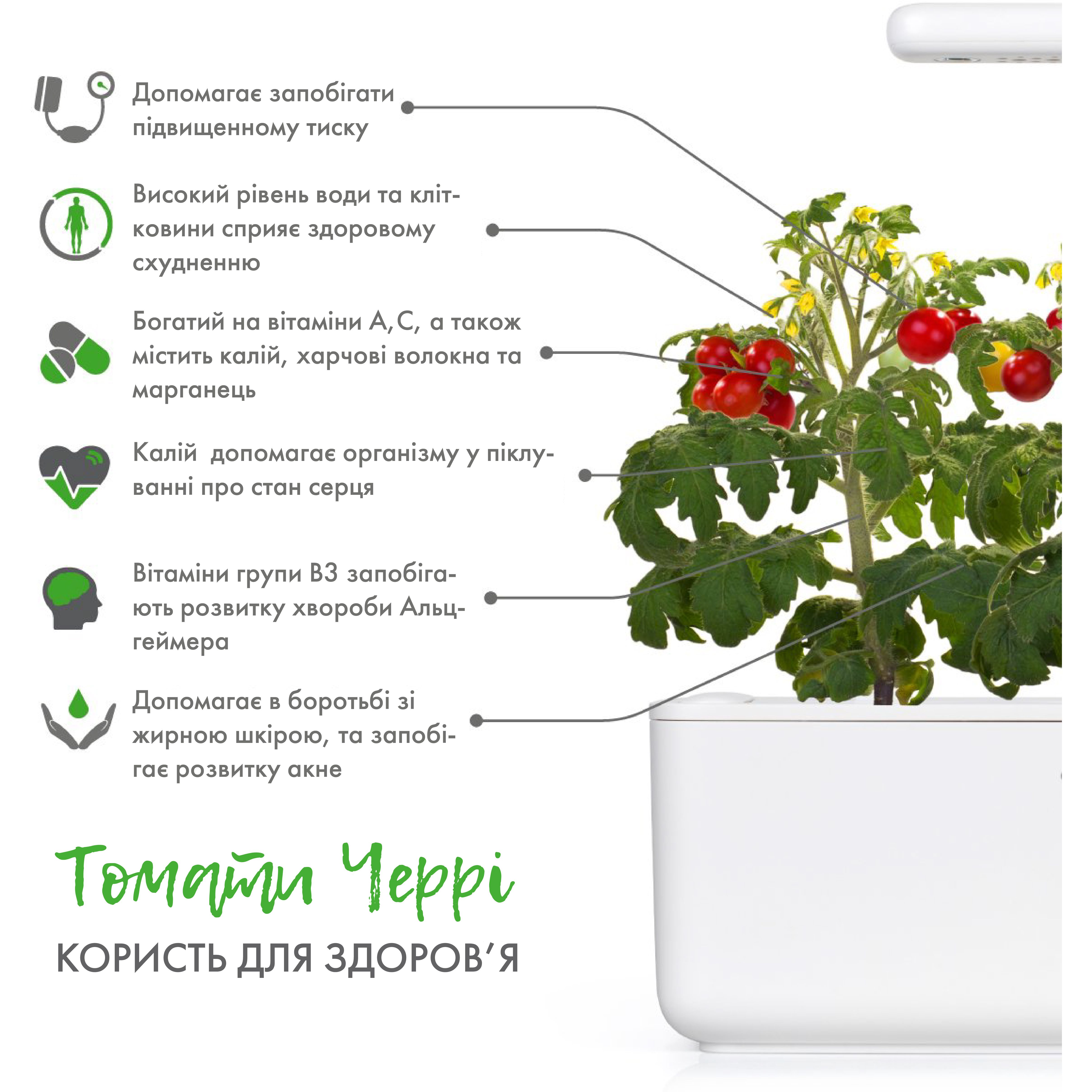 Сменный картридж Click & Grow Smart Garden Мини-томаты, 3 капсулы (7304) - фото 3