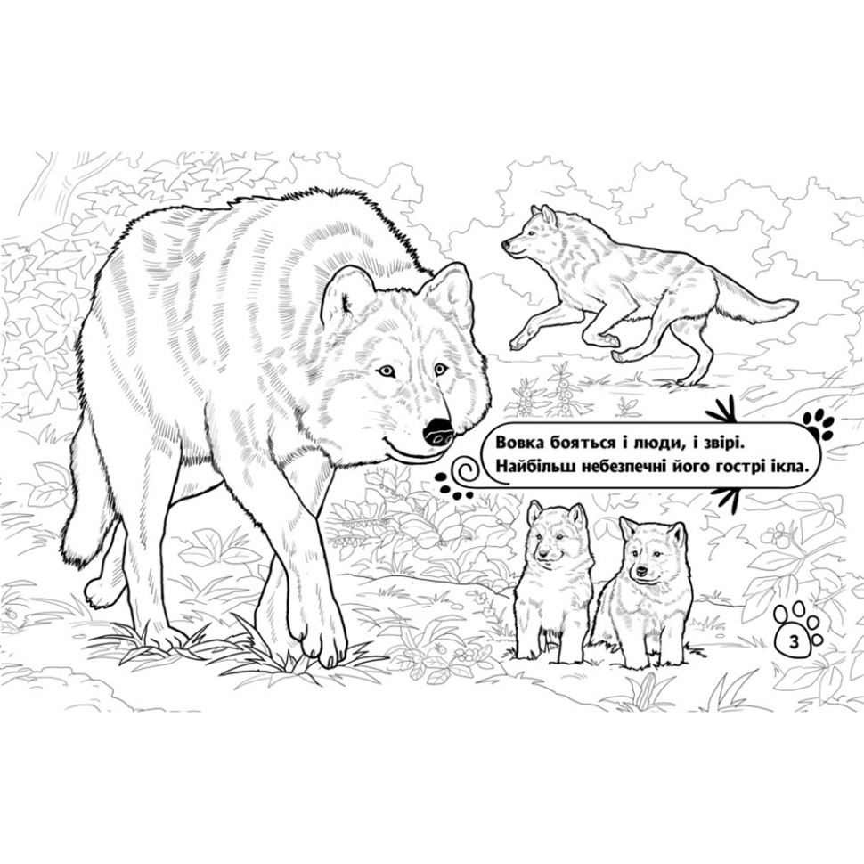 Раскраска детская Видавництво Ранок Животные в лесу 16 страниц (583012) - фото 4
